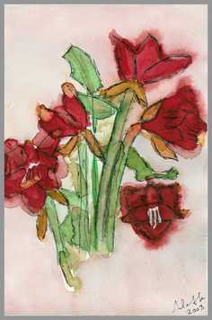 001 Amaryllis - Akvarel p papir 30 x 20 cm - Alettes Maleri (akvarel og akryl)